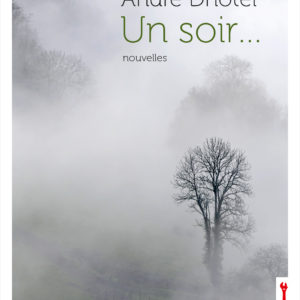 Couverture du livre Un Soir d'André Dhôtel aux éditions La clé à molette